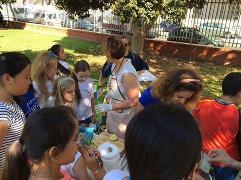 Celebrando el d�a del Medio Ambiente.