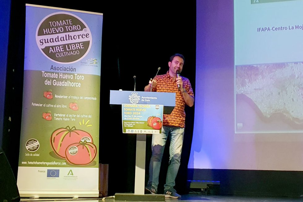 Jornada T�cnica Tomate Huevo Toro 2024