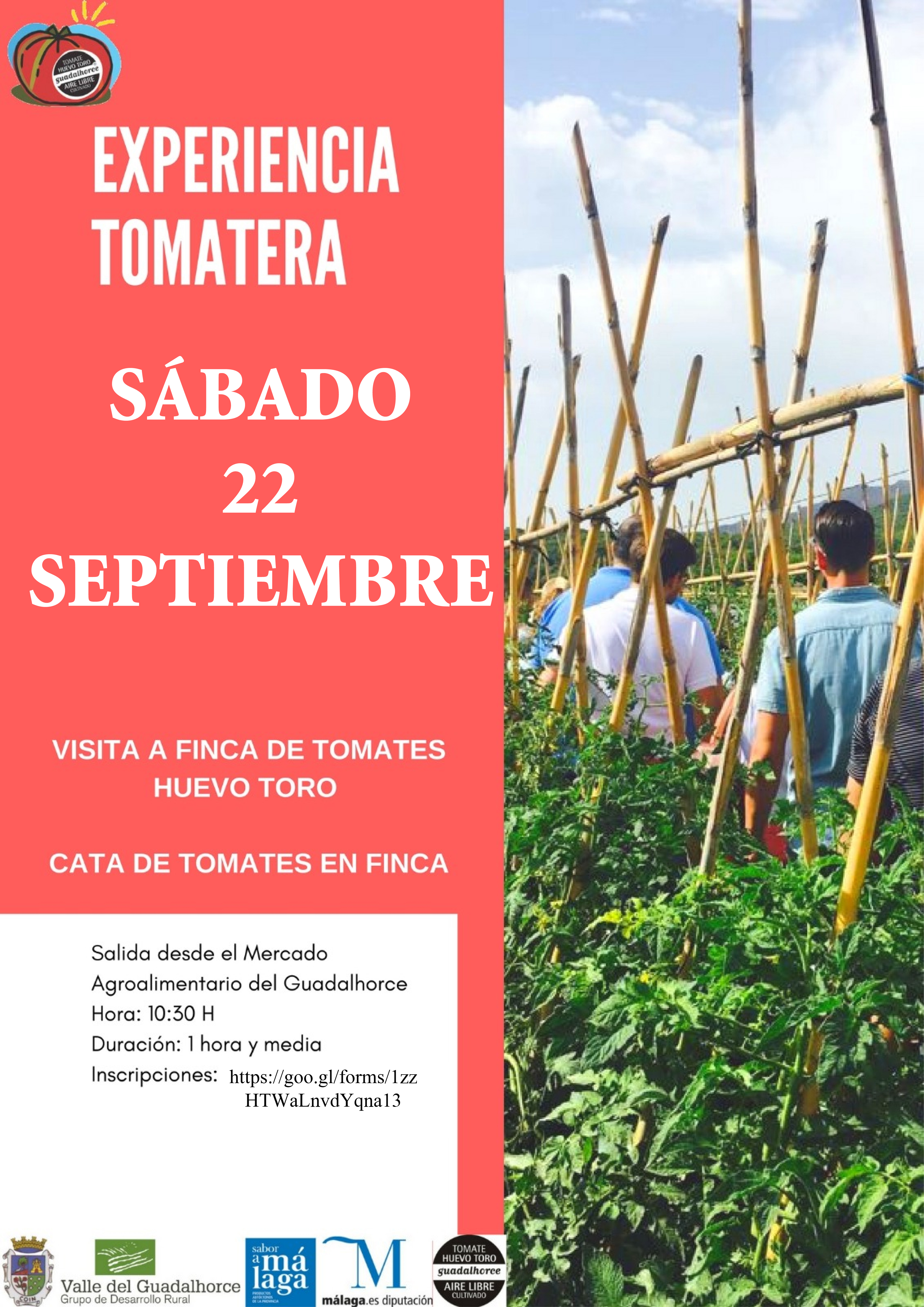 Experiencia tomatera �HuevoToro2018