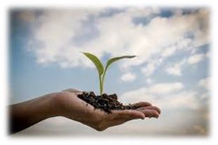 Valle del Guadalhorce, producci�n ecol�gica y cambio clim�tico